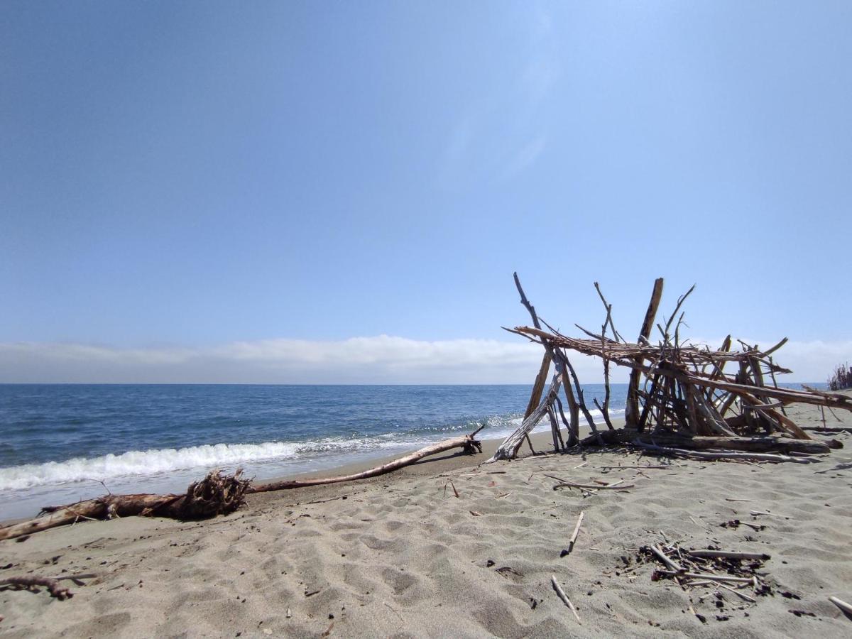 Superbe Studio Pour 2 A 20M De La Plage - 27 カネ エクステリア 写真